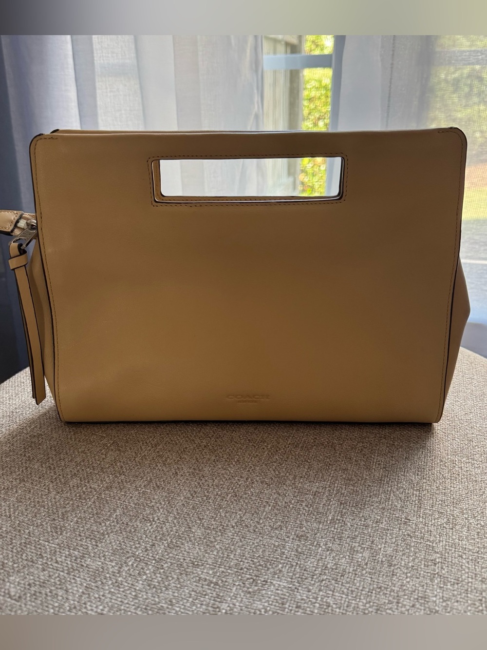 Coach Bleecker Pocket Clutch